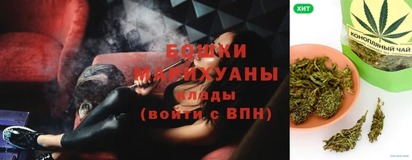 индика Беслан