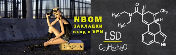 прущие грибы Лабытнанги