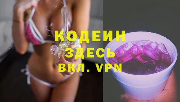 прущие грибы Лабытнанги
