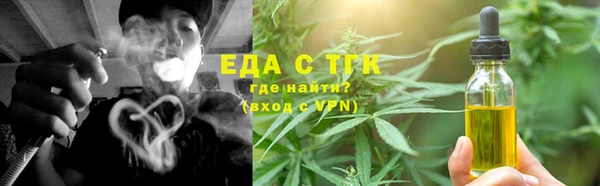 прущие грибы Лабытнанги