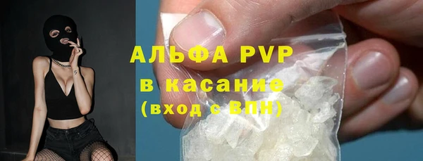 прущие грибы Лабытнанги